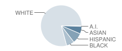 Oltman Junior High School Student Race Distribution