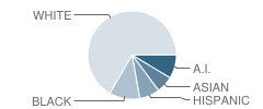 So. Washington Alternative Learning Center School Student Race Distribution