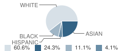 Cottage Grove Elementary School Student Race Distribution