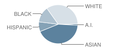 Nokomis Montessori / Magnet School Student Race Distribution