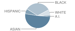 Hancock / Hamline Magnet Elementary School Student Race Distribution