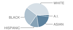 Linwood A+ Magnet Elementary School Student Race Distribution