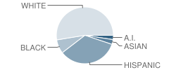 Moreland Elementary School Student Race Distribution