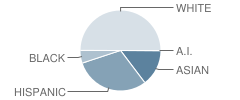 Worthington High School Student Race Distribution