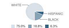 Miller Park Center School Student Race Distribution