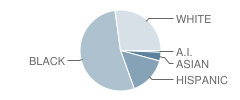 Eugene Field Elementary School Student Race Distribution