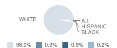 Ava High School Student Race Distribution