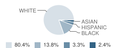 Chapel Lakes Elementary School Student Race Distribution