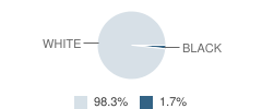 Adair County High School Student Race Distribution