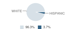 Bunceton High School Student Race Distribution