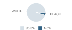 Canton Elementary School Student Race Distribution