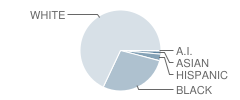 Central High School Student Race Distribution