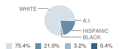 Mark Twain Elementary School Student Race Distribution