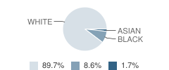 Centerville Elementary School Student Race Distribution