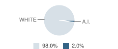 Craig Elementary School Student Race Distribution