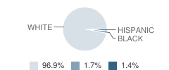 Dexter High School Student Race Distribution