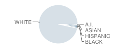 Fair Grove Middle School Student Race Distribution