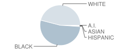 Combs Elementary School Student Race Distribution