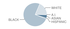 Barrington Elementary School Student Race Distribution