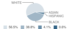 Lusher Elementary School Student Race Distribution