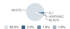 Skyline High School Student Race Distribution