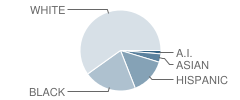 Randall Elementary School Student Race Distribution