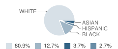 Cedar Hill Elementary School Student Race Distribution