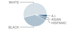 Thorpe J. Gordon Elementary School Student Race Distribution