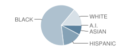 Lincoln College Preparatory School Student Race Distribution