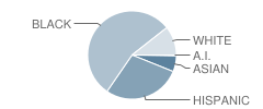 N.e. Law & Public Serv. Magnet School Student Race Distribution