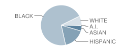 Woodland Elementary School Student Race Distribution