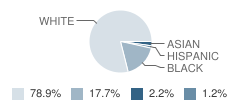 North Kirkwood Middle School Student Race Distribution