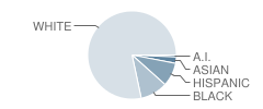 Knob Noster Elementary School Student Race Distribution