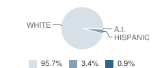 Koshkonong Elementary School Student Race Distribution