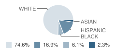 Southeast Elementary School Student Race Distribution