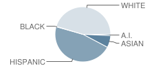 Noel Elementary School Student Race Distribution