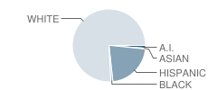 Monett Middle School Student Race Distribution