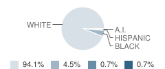 Neelyville High School Student Race Distribution