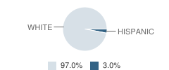 New Haven Middle School Student Race Distribution