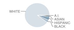 Espy Elementary School Student Race Distribution