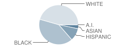 Robert Drummond Elementary School Student Race Distribution