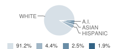 Pierce City Middle School Student Race Distribution