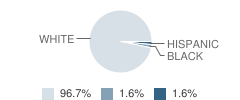 Rich Hill High School Student Race Distribution