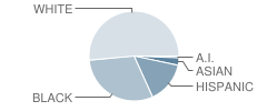 Buder Elementary School Student Race Distribution