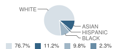 Woerther Elementary School Student Race Distribution