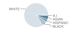 Coleman Elementary School Student Race Distribution