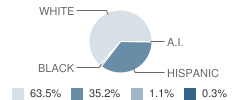 Senath Elementary School Student Race Distribution