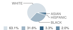 Matthews Elementary School Student Race Distribution