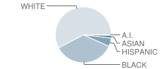 Southeast Elementary School Student Race Distribution