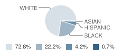 South Pemiscot Elementary School Student Race Distribution